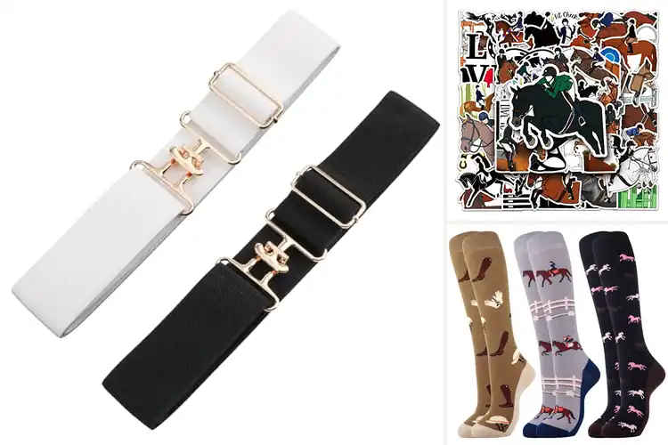 Detailed view of Best Equestrian Accessories