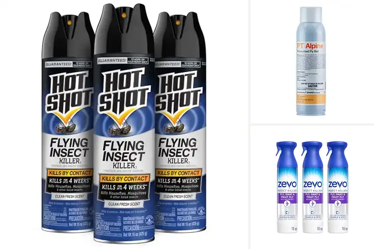 Detailed view of Best Fly Sprays: Top Picks for a Pest-Free Home