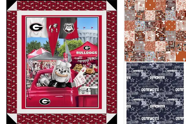 Detailed view of Best Tailgating Quilt Fabrics