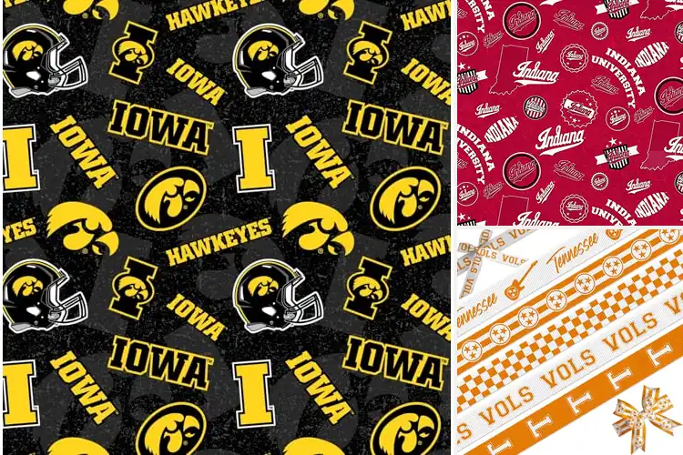 Detailed view of Best University Themed Fabric