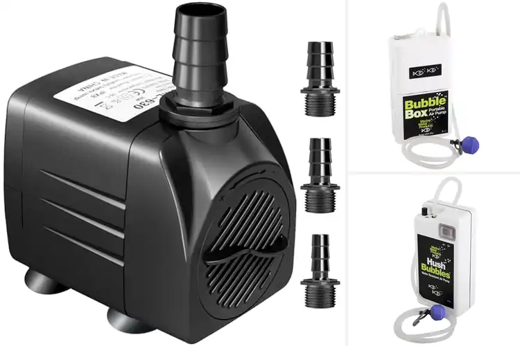 Detailed view of Best Water-Resistant Pumps for Smooth, Reliable Performance